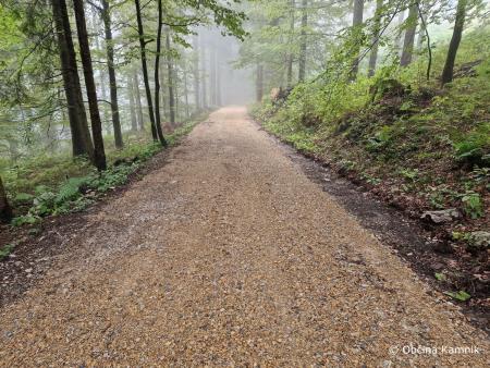 Sanacijska obnova gozdnih cest po poplavah (1)